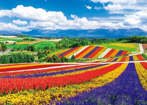 虹色の四季彩の丘－北海道