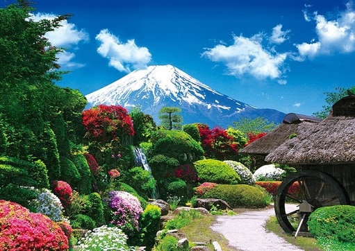 花咲く忍野と富士山