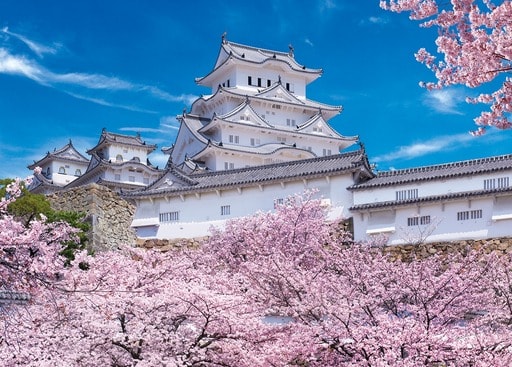 新鮮な桜 壁紙 姫路城 最高の壁紙コレクション