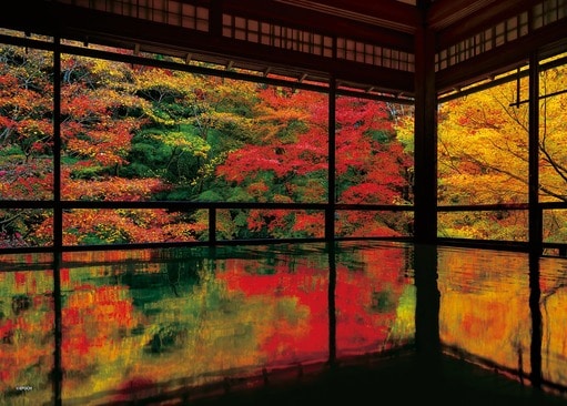 瑠璃光院の紅葉 - 京都