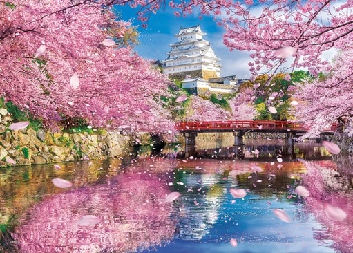 桜舞う姫路城