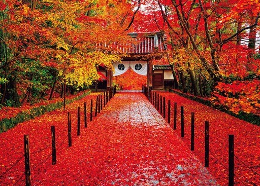 深秋の光明寺―京都