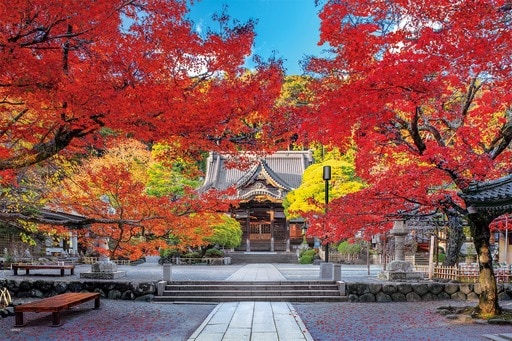 修禅寺の美しい秋―静岡
