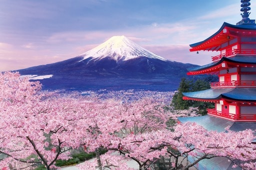 五重塔から望む桜富士‐山梨