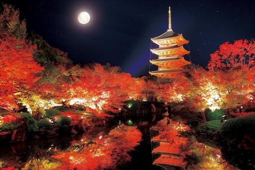 秋の東寺 五重塔-京都