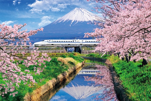 桜と富士山と新幹線―静岡