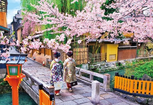 桜の巽橋‐京都
