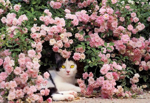 ママの休息