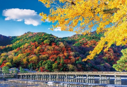 秋彩る渡月橋―京都