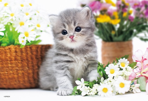 おすましねこちゃん