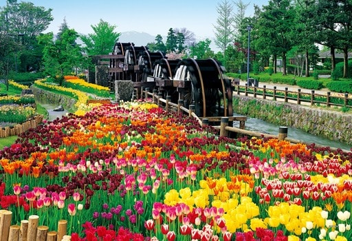 五連水車と花咲く公園‐富山