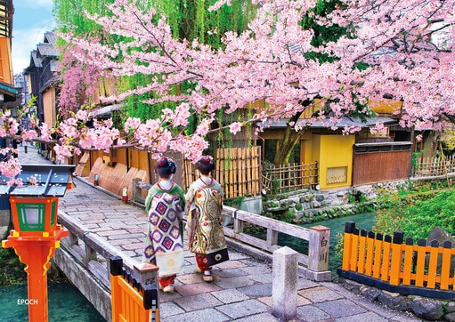 桜の巽橋-京都