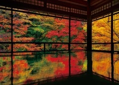 瑠璃光院の紅葉 - 京都