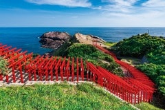 元乃隅神社-山口