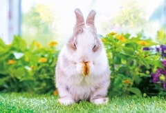 きみのモーニングルーティン