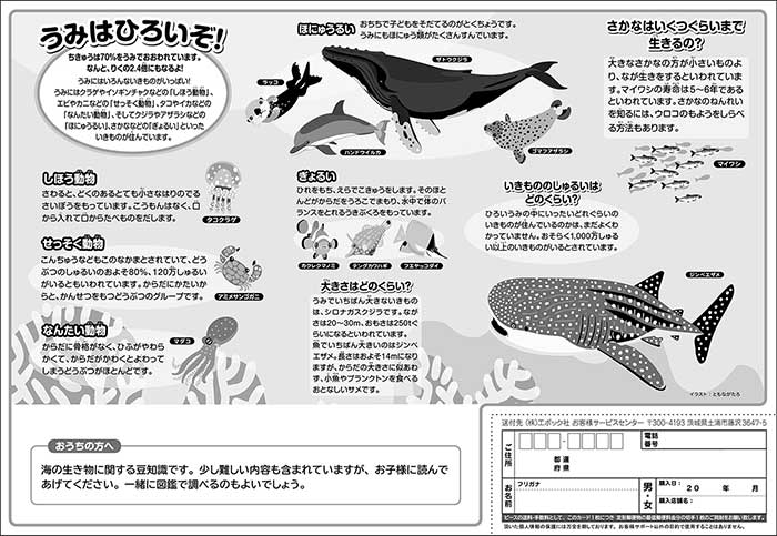 うみのなかまたち｜エポック社のこども向けパズル